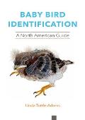 Baby Bird Identification A North American Guide