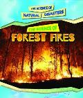 The Science of Forest Fires