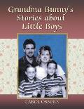 Grandma Bunny's Stories About Little Boys