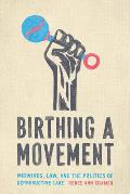 Birthing a Movement Midwives Law & the Politics of Reproductive Care