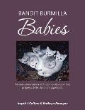 Bandit Burmilla Babies: Intimate Conversations with a Family of Cats on Love, Pregancy, Birth, Death and Separation.