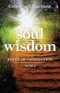 Soul Wisdom: Point of Connection Book 3