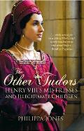 Other Tudors Henry VIIIs Mistresses & Illegitimate Children