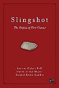 Slingshot: The Defeat of Eric Cantor