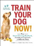 Train Your Dog Now Your Instant Training Handbook from Behavior Fixes to Basic Commands
