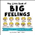Little Book of Big Feelings An Illustrated Exploration of Lifes Many Emotions