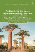 The Right to the Continuous Improvement of Living Conditions: Responding to Complex Global Challenges