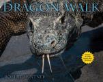 Dragon Walk On Reef Recovery & Political Will