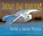 Snowy Owl Invasion Tracking an Unusual Migration