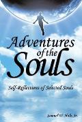 Adventures of the Souls: Self-Reflections of Selected Souls