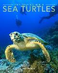 Sea Turtles Our Amazing World