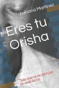 Eres tu Orisha: Todo acerca de los hijos de cada Santo