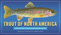 Cal20 Trout of North America Wall Calendar