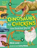 Dinosaurs to Chickens: How Evolution Works