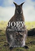 Joey, the Boy from the Sky