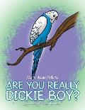 Are You Really Dickie Boy?