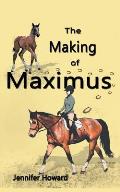 The Making of Maximus: From the horse's mouth