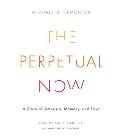 The Perpetual Now: A Story of Amnesia, Memory, and Love