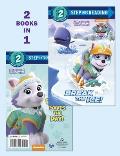 Break the Ice Everest Saves the Day Paw Patrol