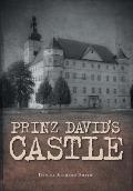 Prinz David's Castle