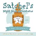 A Trip to London: Satchel's Night Nest Adventures