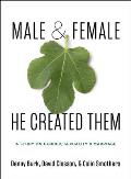 Male and Female He Created Them: A Study on Gender, Sexuality, & Marriage