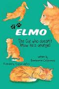 ELMO The Cat who doesn't know he's orange!