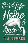 Bird Life at Home and Abroad - With Other Nature Observations
