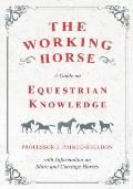 The Working Horse - A Guide on Equestrian Knowledge with Information on Shire and Carriage Horses