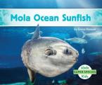Mola Ocean Sunfish