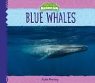 Blue Whales