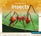 The Evolution of Insects