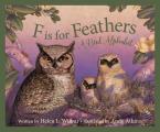 F is for Feathers A Bird Alphabet