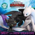 Meet the New Dragons How to Train Your Dragon