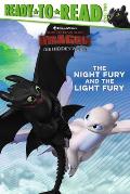 Night Fury & the Light Fury How to Train Your Dragon The Hidden World