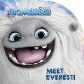 Meet Everest