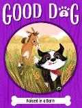 Good Dog 02 Raised in a Barn