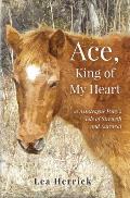 Ace King of My Heart An Assateague Ponys Tale of Strength & Survival