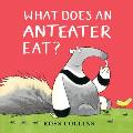 What Does an Anteater Eat?