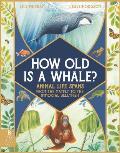 How Old Is a Whale Animal Life Spans from the Mayfly to the Immortal Jellyfish