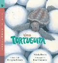 Una Tortuguita: Read and Wonder