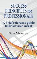 Success Principles for Professionals: A Brief Reference Guide to Drive Your Career