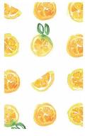 Watercolor Lemons Notes