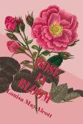 Rose in Bloom (Illustrated Edition): A Sequel to Eight Cousins