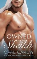 Owned by the Sheikh: An Erotic Romance Collection