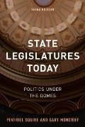 State Legislatures Today: Politics under the Domes