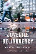 Juvenile Delinquency: Why Do Youths Commit Crime?