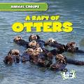 A Raft of Otters