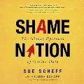 Shame Nation The Global Epidemic of Online Hate