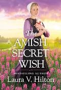 Amish Secret Wish